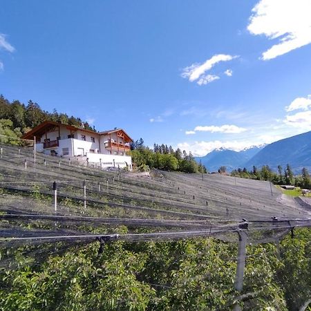 Pruensterhof Schenna Daire Dış mekan fotoğraf