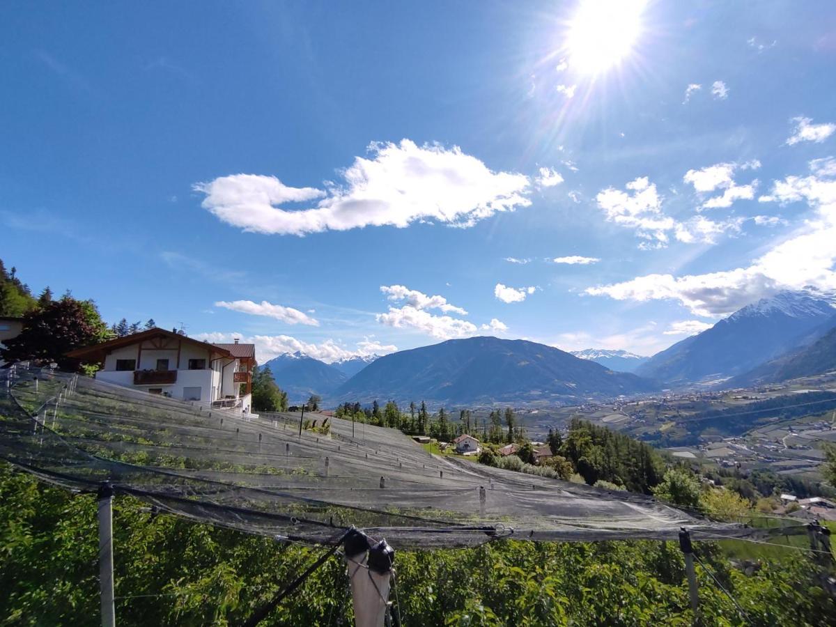 Pruensterhof Schenna Daire Dış mekan fotoğraf