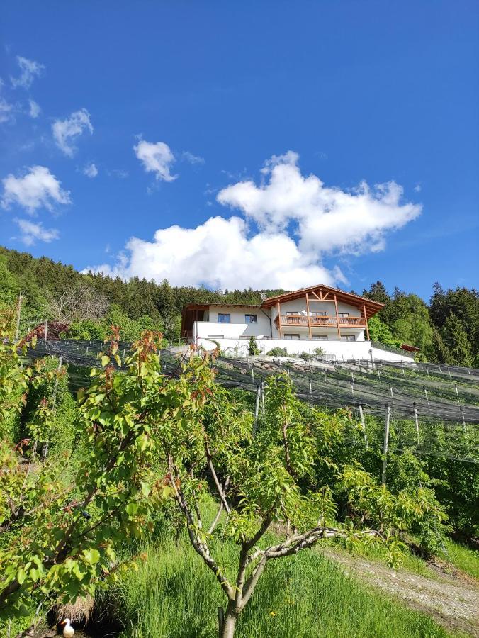 Pruensterhof Schenna Daire Dış mekan fotoğraf