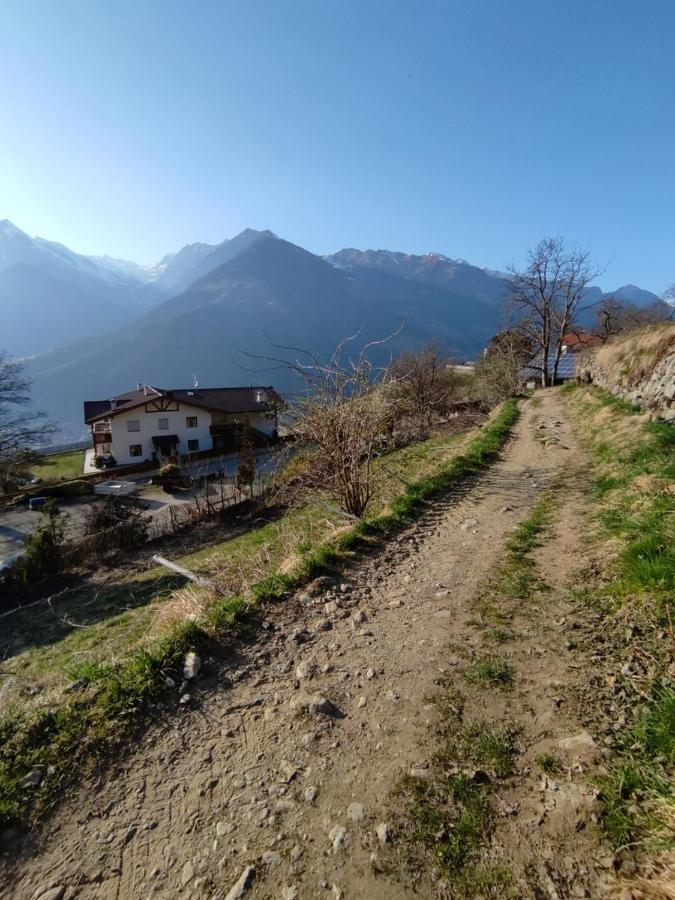 Pruensterhof Schenna Daire Dış mekan fotoğraf