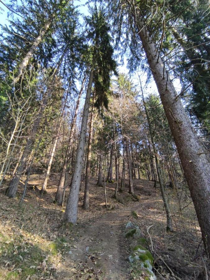 Pruensterhof Schenna Daire Dış mekan fotoğraf