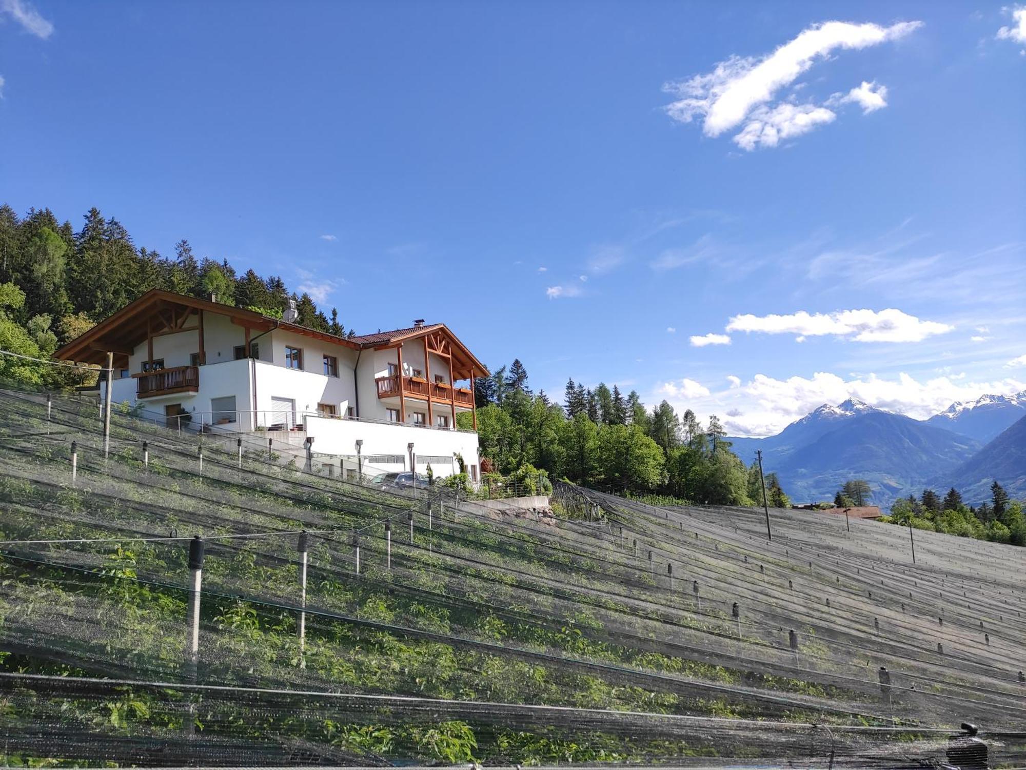 Pruensterhof Schenna Daire Dış mekan fotoğraf