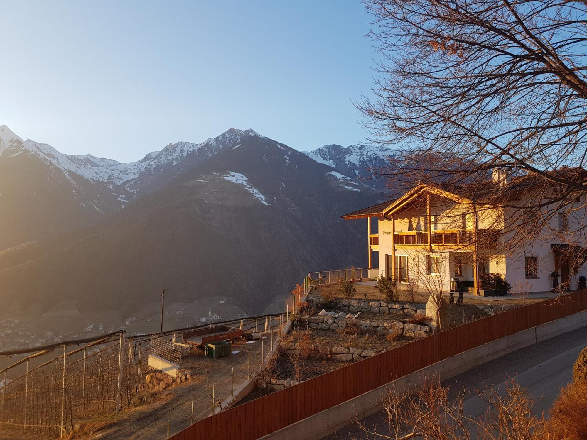 Pruensterhof Schenna Daire Dış mekan fotoğraf