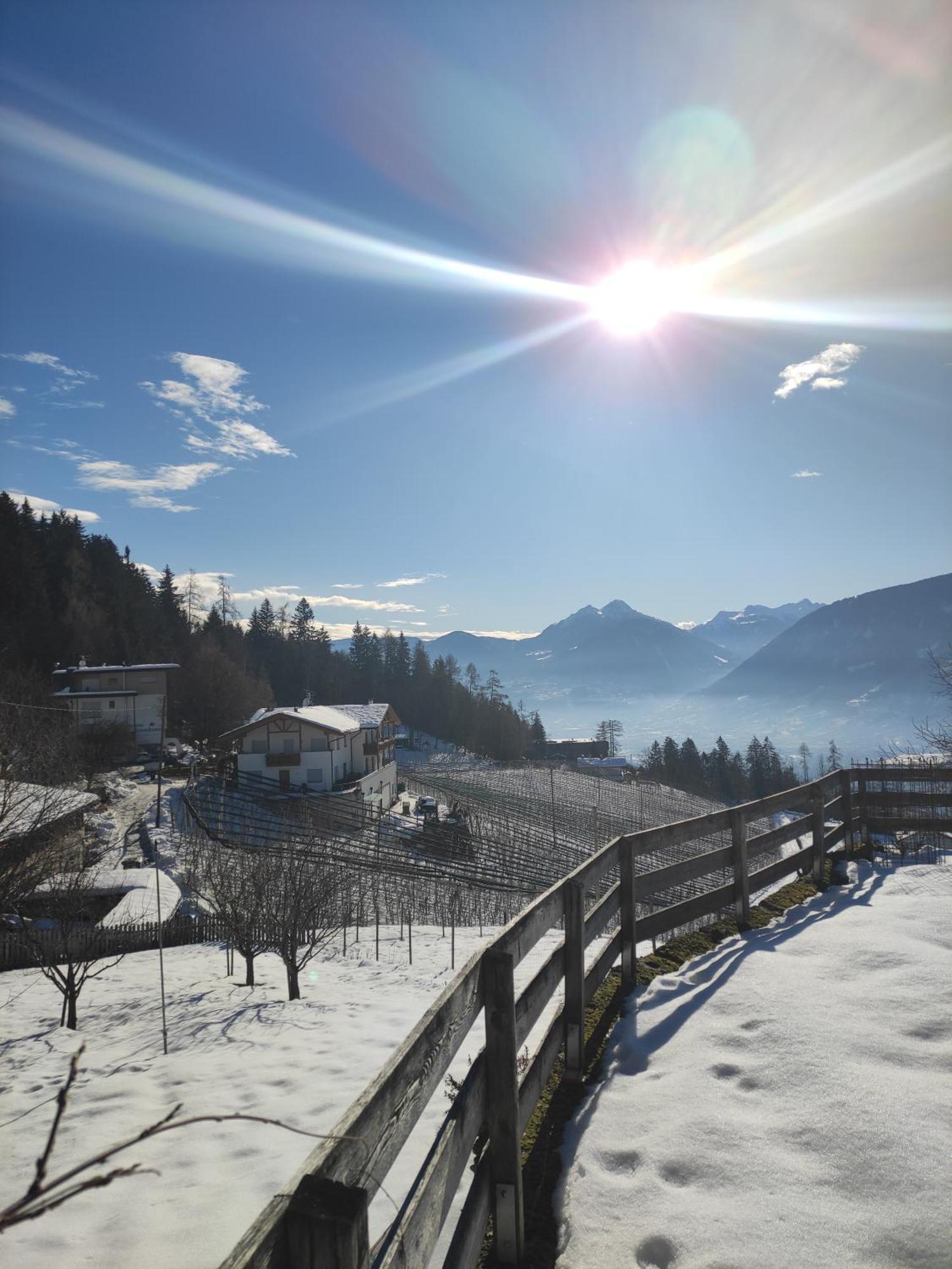 Pruensterhof Schenna Daire Dış mekan fotoğraf