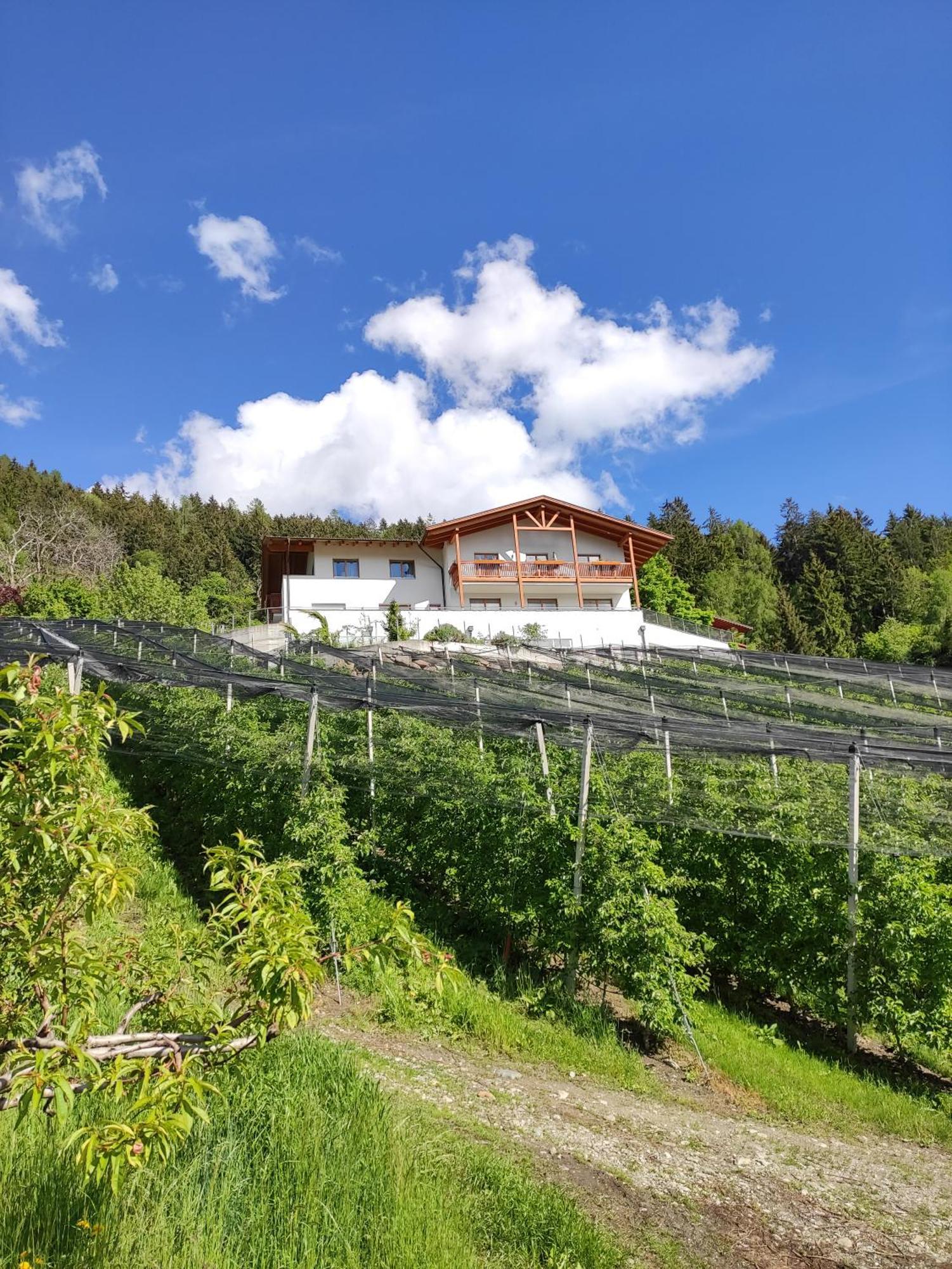 Pruensterhof Schenna Daire Dış mekan fotoğraf