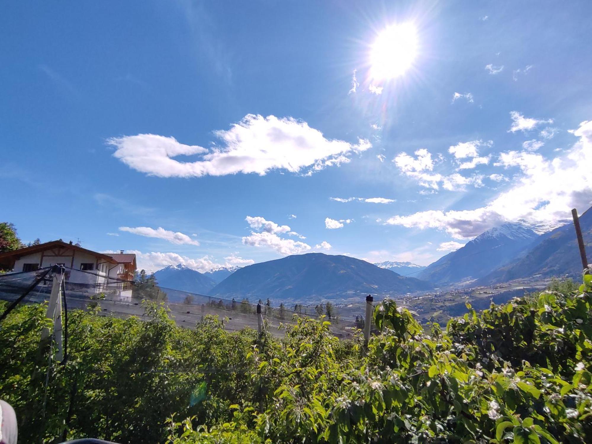 Pruensterhof Schenna Daire Dış mekan fotoğraf