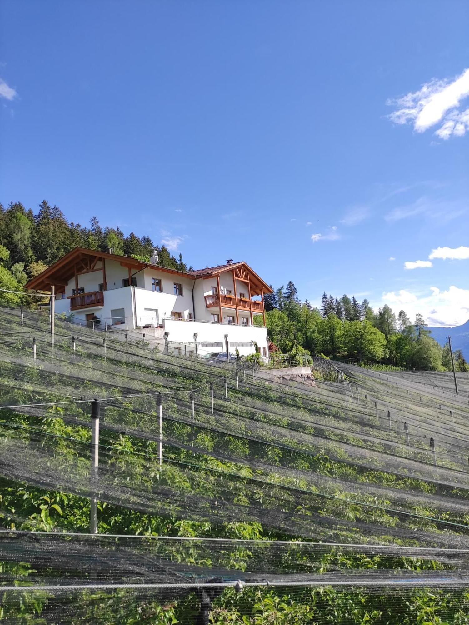 Pruensterhof Schenna Daire Dış mekan fotoğraf