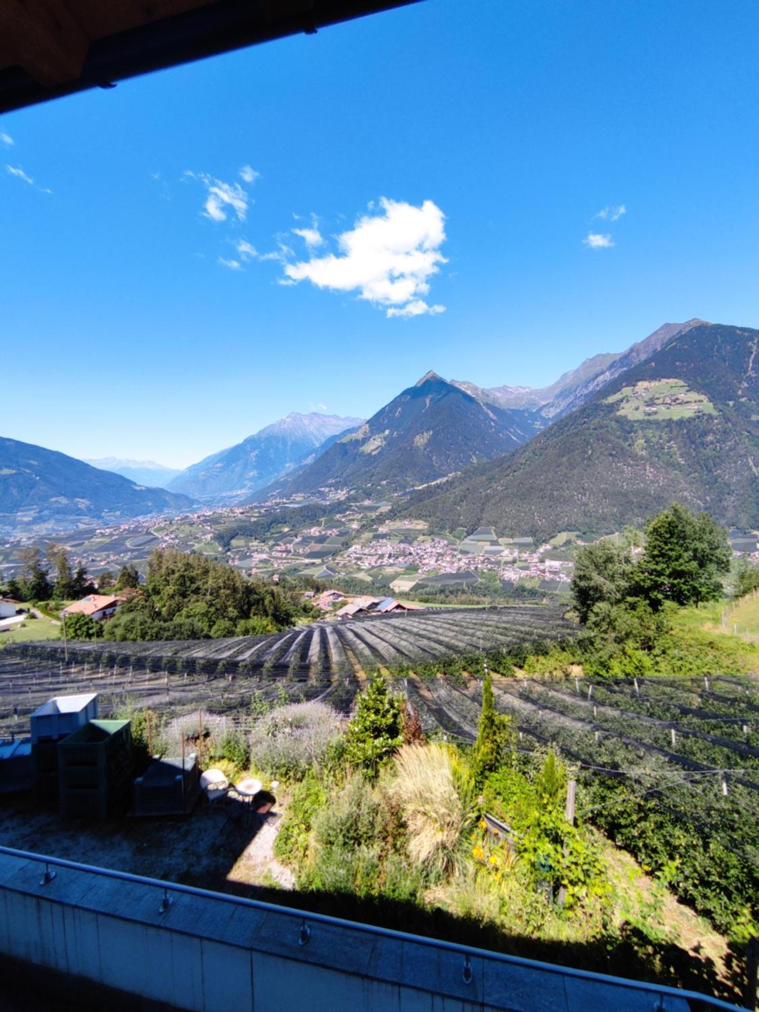 Pruensterhof Schenna Daire Dış mekan fotoğraf